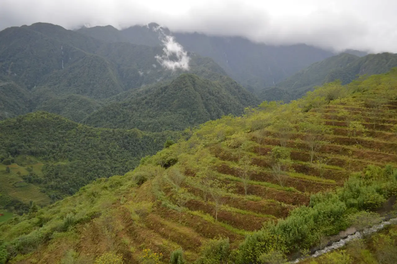 智能硬件电路设计选型指南：从需求分析到生产落地