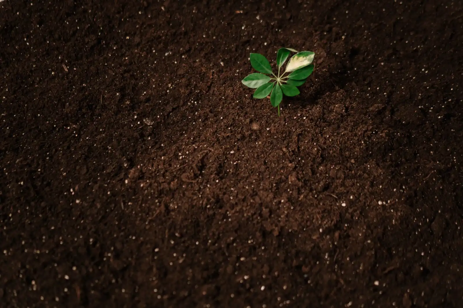 电子产品硬件设计中的EMC问题分析与解决策略