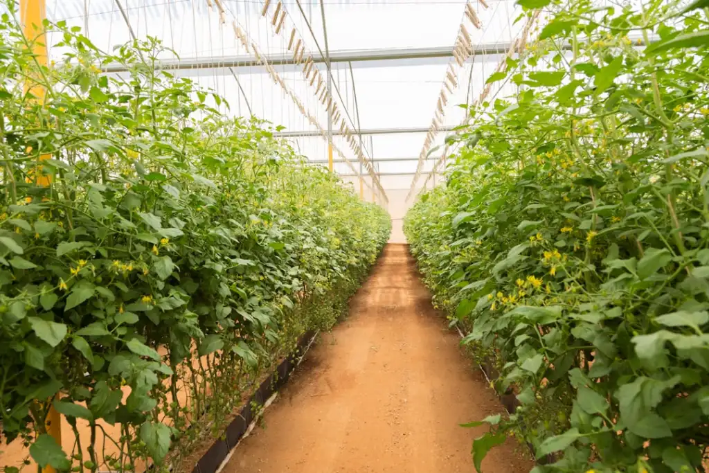 庆鸿双茂硬件开发方案：从原型验证到量产支持全解析