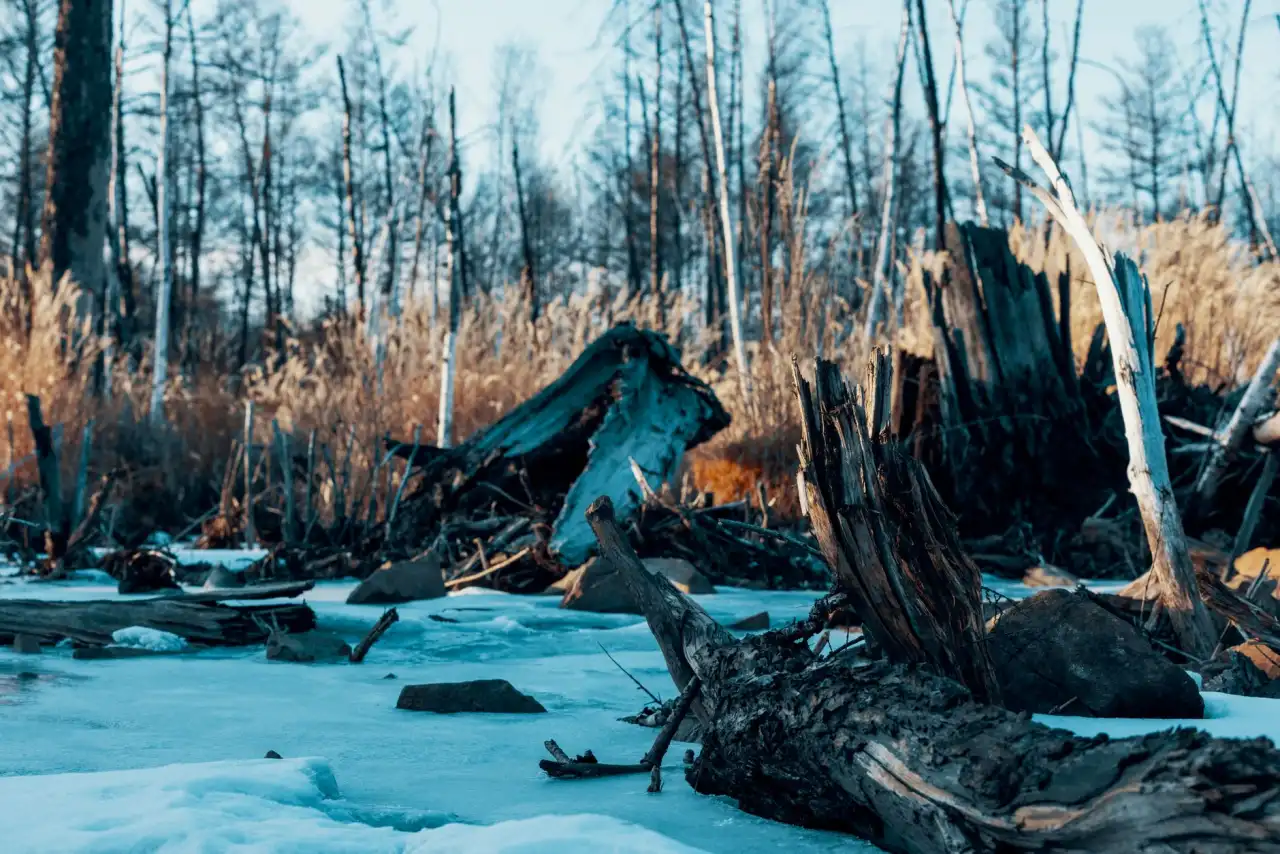 智能硬件产品落地过程中电路设计方案对比与选型建议