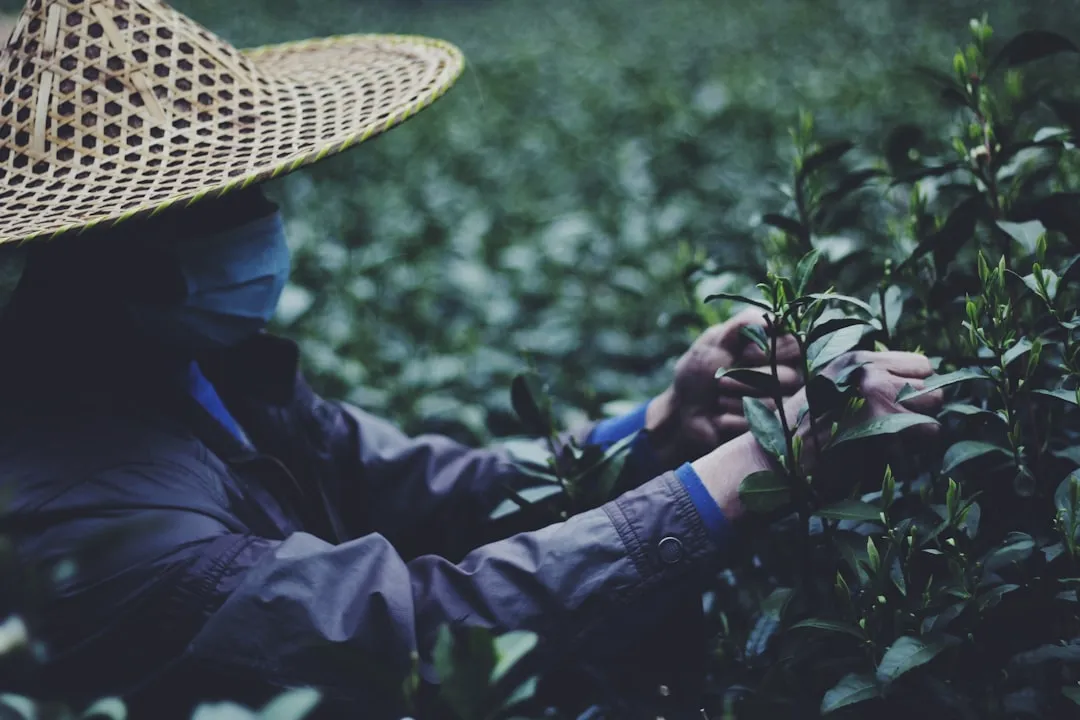 智能硬件产品落地：从电路设计到生产支持的完整流程